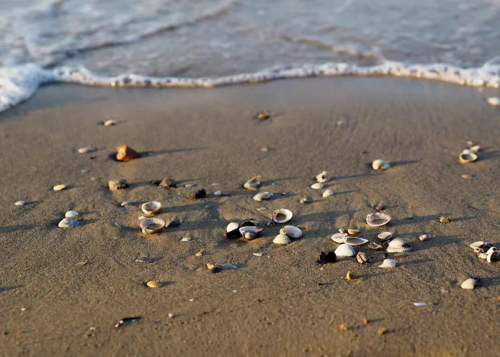 Cozy Flat In A With 2 Pools - Beahost * Bibione