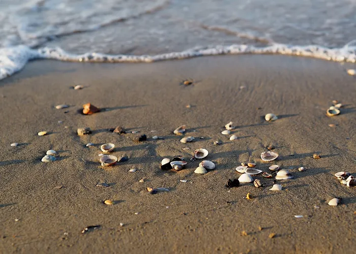 Cozy Flat In A With 2 Pools - Beahost